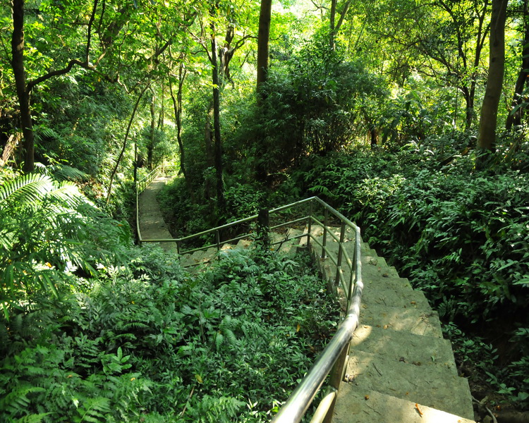 八德路登山步道